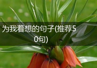 为我着想的句子(推荐50句)