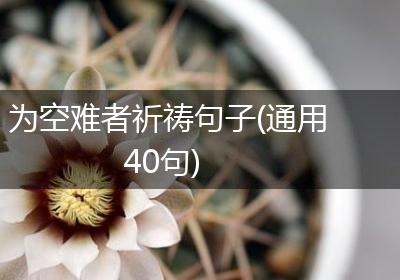 为空难者祈祷句子(通用40句)
