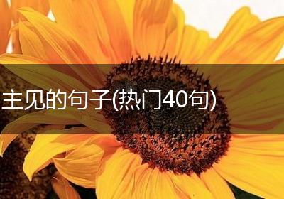 主见的句子(热门40句)