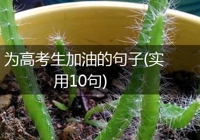 为高考生加油的句子(实用10句)