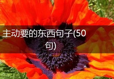 主动要的东西句子(50句)