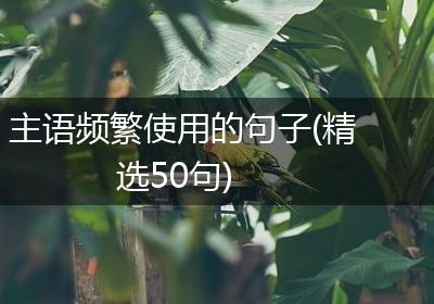 主语频繁使用的句子(精选50句)