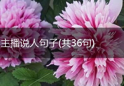 主播说人句子(共36句)