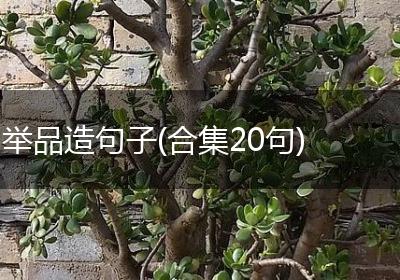 举品造句子(合集20句)