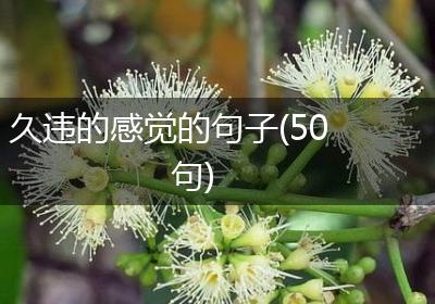 久违的感觉的句子(50句)