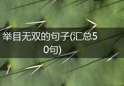 举目无双的句子(汇总50句)