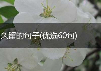 久留的句子(优选60句)