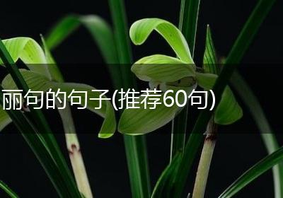 丽句的句子(推荐60句)