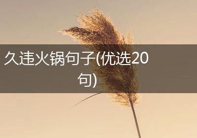久违火锅句子(优选20句)