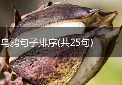 乌鸦句子排序(共25句)