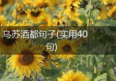 乌苏酒都句子(实用40句)