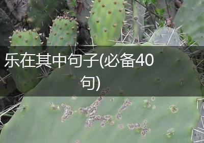 乐在其中句子(必备40句)