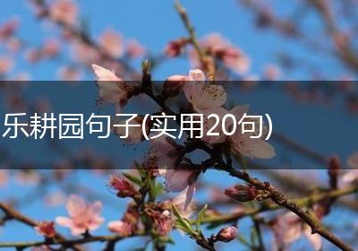 乐耕园句子(实用20句)