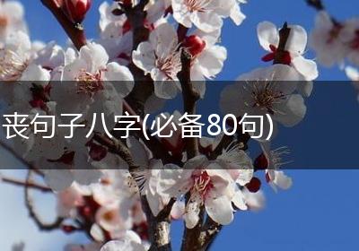 丧句子八字(必备80句)