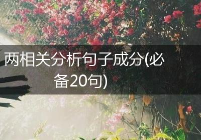 两相关分析句子成分(必备20句)