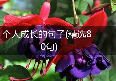 个人成长的句子(精选80句)