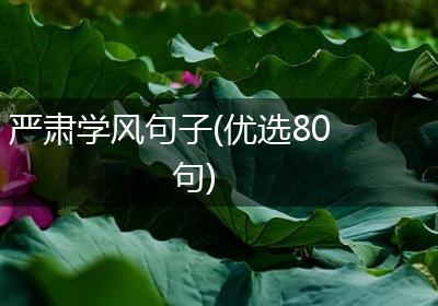 严肃学风句子(优选80句)