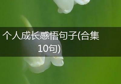 个人成长感悟句子(合集10句)