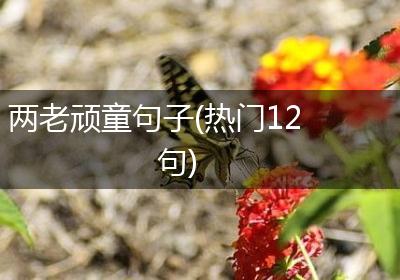 两老顽童句子(热门12句)