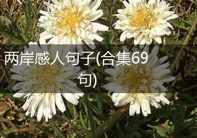 两岸感人句子(合集69句)
