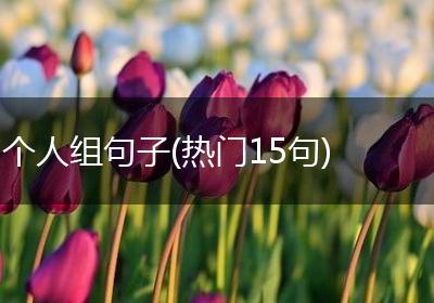 个人组句子(热门15句)