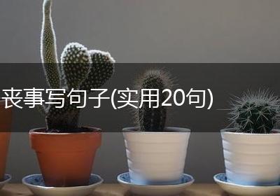 丧事写句子(实用20句)