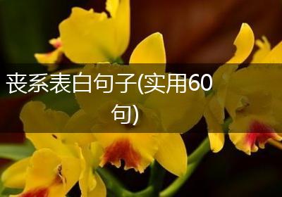丧系表白句子(实用60句)