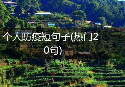 个人防疫短句子(热门20句)
