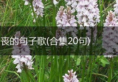丧的句子歌(合集20句)