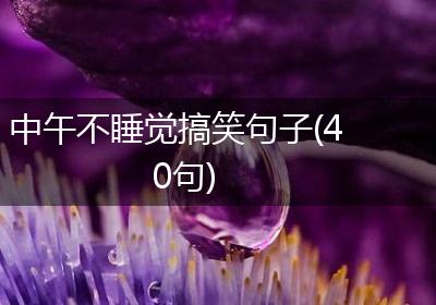 中午不睡觉搞笑句子(40句)