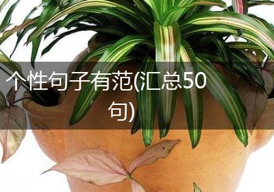 个性句子有范(汇总50句)