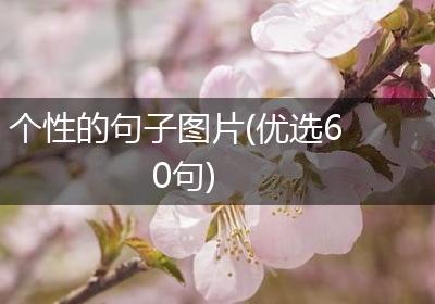 个性的句子图片(优选60句)