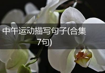 中午运动描写句子(合集7句)