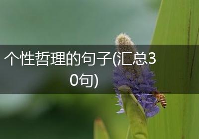 个性哲理的句子(汇总30句)
