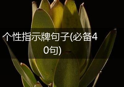 个性指示牌句子(必备40句)