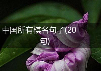 中国所有棋名句子(20句)