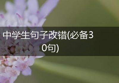 中学生句子改错(必备30句)