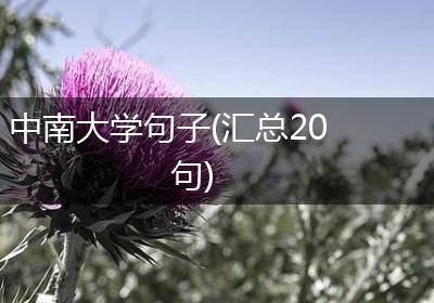 中南大学句子(汇总20句)