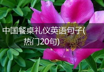 中国餐桌礼仪英语句子(热门20句)