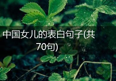 中国女儿的表白句子(共70句)