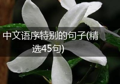 中文语序特别的句子(精选45句)