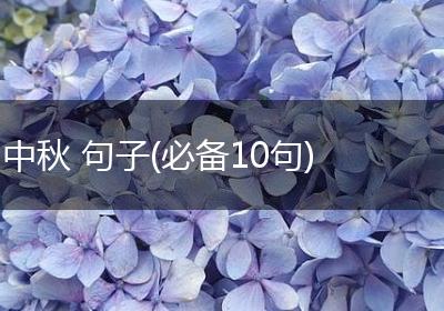 中秋 句子(必备10句)