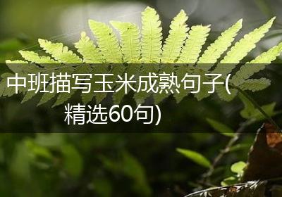 中班描写玉米成熟句子(精选60句)