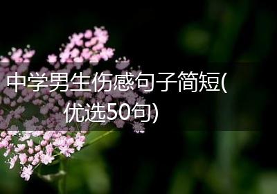中学男生伤感句子简短(优选50句)