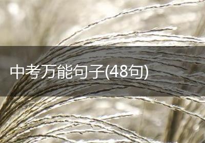 中考万能句子(48句)