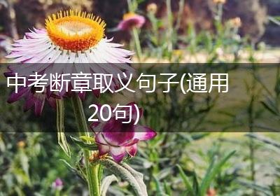 中考断章取义句子(通用20句)