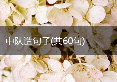 中队造句子(共60句)