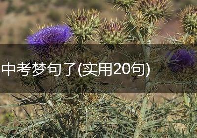 中考梦句子(实用20句)