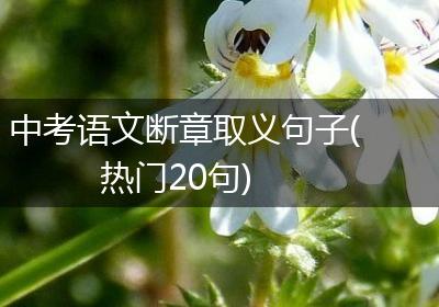 中考语文断章取义句子(热门20句)