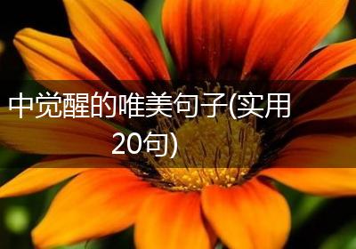 中觉醒的唯美句子(实用20句)